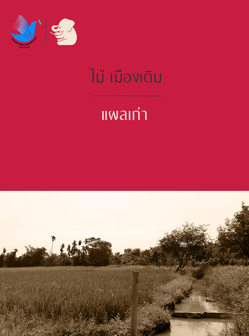 แผลเก่า