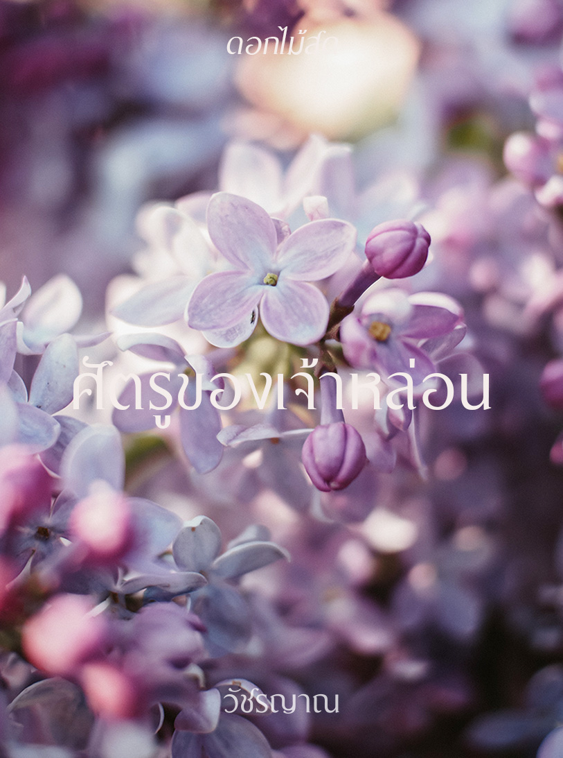 ศัตรูของเจ้าหล่อน